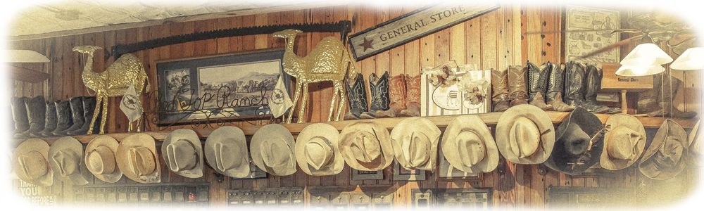 cowboy-hats-art